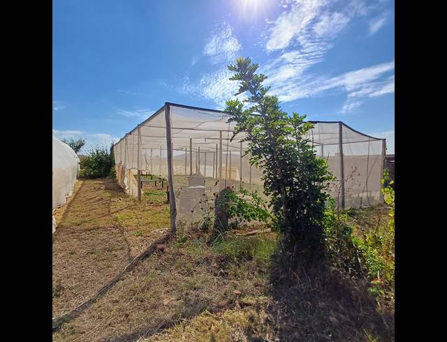 8.50HA FARM FOR SALE IN NOOITGEDACHT AH